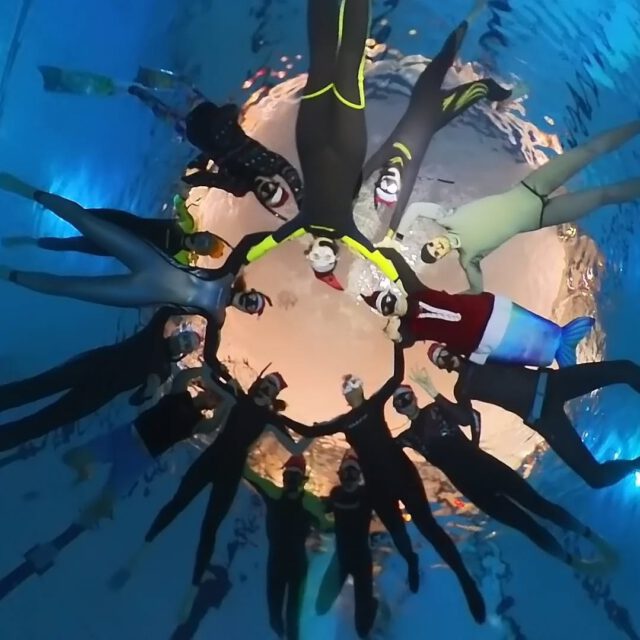 Yesterday, we celebrated our last training of the year 2024 with traditionally playing our yearly Freedive Games. With an underwater obstacle swim and mermaids & merman.
We wish you all good holidays and a beautiful breathless new year!
#freediving #freedivegames #freedivingutrecht #Zeist